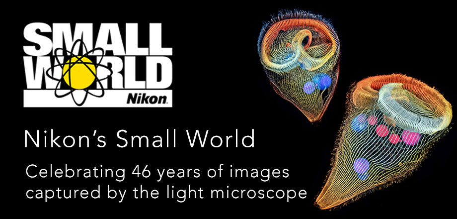 Nikon Small World